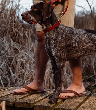 Image of man and dog, in Southern Polished Men's Sandals