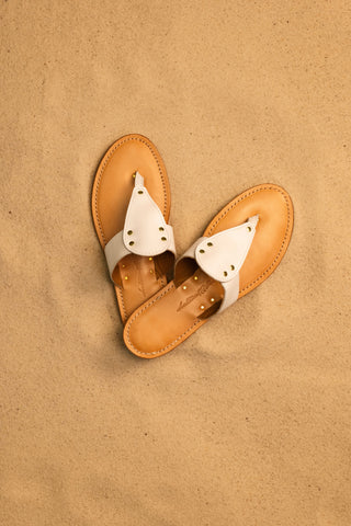 The Alexandria in White